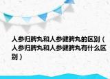 人參歸脾丸和人參健脾丸的區(qū)別（人參歸脾丸和人參健脾丸有什么區(qū)別）