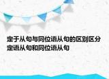 定于從句與同位語從句的區(qū)別區(qū)分定語從句和同位語從句