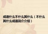 成語(yǔ)什么不什么其什么（不什么其什么成語(yǔ)簡(jiǎn)介介紹）