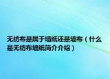 無(wú)紡布是屬于墻紙還是墻布（什么是無(wú)紡布?jí)埡?jiǎn)介介紹）