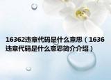 16362違章代碼是什么意思（1636違章代碼是什么意思簡(jiǎn)介介紹）
