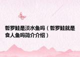 哲羅鮭是淡水魚嗎（哲羅鮭就是食人魚嗎簡(jiǎn)介介紹）
