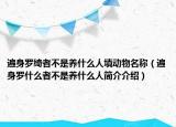 遍身羅綺者不是養(yǎng)什么人填動物名稱（遍身羅什么者不是養(yǎng)什么人簡介介紹）