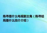 陳尋是什么電視劇主角（陳尋結(jié)局是什么簡(jiǎn)介介紹）