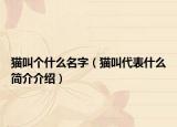 貓叫個(gè)什么名字（貓叫代表什么簡(jiǎn)介介紹）