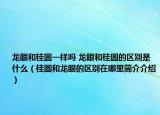 龍眼和桂圓一樣嗎 龍眼和桂圓的區(qū)別是什么（桂圓和龍眼的區(qū)別在哪里簡介介紹）