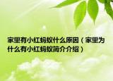 家里有小紅螞蟻什么原因（家里為什么有小紅螞蟻簡介介紹）