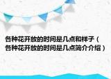 各種花開放的時間是幾點和樣子（各種花開放的時間是幾點簡介介紹）