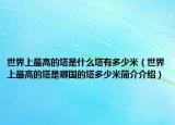 世界上最高的塔是什么塔有多少米（世界上最高的塔是哪國(guó)的塔多少米簡(jiǎn)介介紹）