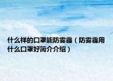 什么樣的口罩能防霧霾（防霧霾用什么口罩好簡(jiǎn)介介紹）