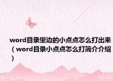 word目錄里邊的小點(diǎn)點(diǎn)怎么打出來（word目錄小點(diǎn)點(diǎn)怎么打簡介介紹）