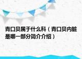 青口貝屬于什么科（青口貝內(nèi)臟是哪一部分簡介介紹）