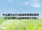 什么望什么什么的成語有哪些詞語（什么什望什么的成語簡介介紹）