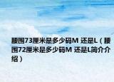 腰圍73厘米是多少碼M 還是L（腰圍72厘米是多少碼M 還是L簡(jiǎn)介介紹）