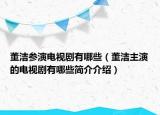董潔參演電視劇有哪些（董潔主演的電視劇有哪些簡(jiǎn)介介紹）