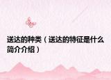 送達(dá)的種類（送達(dá)的特征是什么簡介介紹）