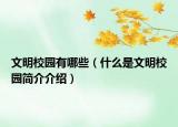 文明校園有哪些（什么是文明校園簡介介紹）