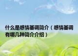 什么是感情基調(diào)簡(jiǎn)介（感情基調(diào)有哪幾種簡(jiǎn)介介紹）