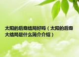太陽的后裔結(jié)局好嗎（太陽的后裔大結(jié)局是什么簡介介紹）