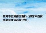 孤芳不自賞百度百科（孤芳不自賞結局是什么簡介介紹）