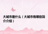 大城市是什么（大城市有哪些簡(jiǎn)介介紹）