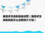 絕地求生高配畫(huà)面設(shè)置（絕地求生低配畫(huà)面怎么設(shè)置簡(jiǎn)介介紹）