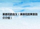 荼蘼花的含義（荼靡花的寓意簡介介紹）