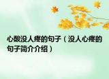 心酸沒(méi)人疼的句子（沒(méi)人心疼的句子簡(jiǎn)介介紹）