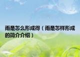 雨是怎么形成得（雨是怎樣形成的簡介介紹）
