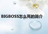 BIGBOSS怎么死的簡介