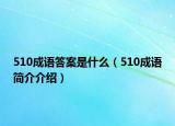 510成語答案是什么（510成語簡介介紹）