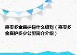 嘉實(shí)多金嘉護(hù)是什么級(jí)別（嘉實(shí)多金嘉護(hù)多少公里簡(jiǎn)介介紹）