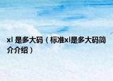 xl 是多大碼（標準xl是多大碼簡介介紹）