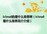 icloud的是什么意思啊（icloud是什么意思簡介介紹）