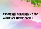 1988年屬什么生肖屬相（1988年屬什么生肖的簡介介紹）