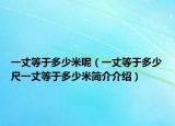 一丈等于多少米呢（一丈等于多少尺一丈等于多少米簡介介紹）