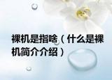 裸機(jī)是指啥（什么是裸機(jī)簡(jiǎn)介介紹）