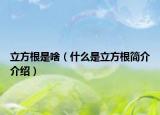 立方根是啥（什么是立方根簡(jiǎn)介介紹）