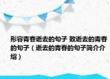 形容青春逝去的句子 致逝去的青春的句子（逝去的青春的句子簡介介紹）