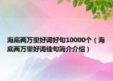 海底兩萬里好詞好句10000個（海底兩萬里好詞佳句簡介介紹）