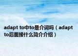 adapt to中to是介詞嗎（adapt to后面接什么簡介介紹）