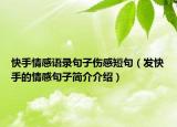 快手情感語錄句子傷感短句（發(fā)快手的情感句子簡介介紹）