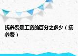 撫養(yǎng)費(fèi)是工資的百分之多少（撫養(yǎng)費(fèi)）