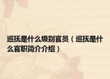 巡撫是什么級別官員（巡撫是什么官職簡介介紹）