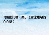 飛雪的比喻（關(guān)于飛雪比喻句簡(jiǎn)介介紹）