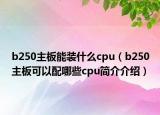 b250主板能裝什么cpu（b250主板可以配哪些cpu簡介介紹）