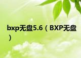 bxp無盤5.6（BXP無盤）