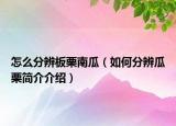 怎么分辨板栗南瓜（如何分辨瓜栗簡(jiǎn)介介紹）