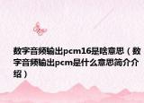 數(shù)字音頻輸出pcm16是啥意思（數(shù)字音頻輸出pcm是什么意思簡介介紹）