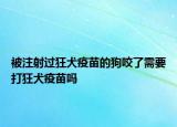 被注射過狂犬疫苗的狗咬了需要打狂犬疫苗嗎